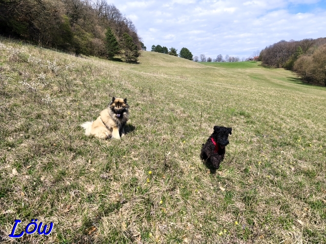 11.4.2025 - Dwix und Herkules